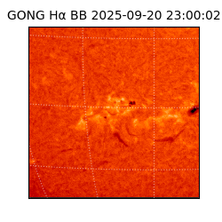 gong - 2025-09-20T23:00:02