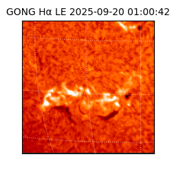 gong - 2025-09-20T01:00:42