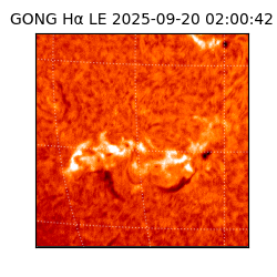 gong - 2025-09-20T02:00:42