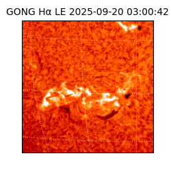 gong - 2025-09-20T03:00:42