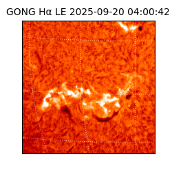 gong - 2025-09-20T04:00:42