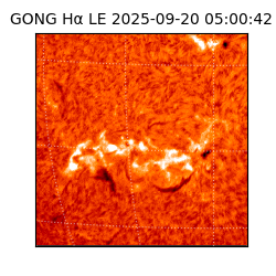 gong - 2025-09-20T05:00:42