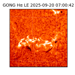 gong - 2025-09-20T07:00:42