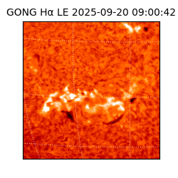 gong - 2025-09-20T09:00:42