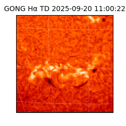 gong - 2025-09-20T11:00:22