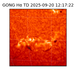 gong - 2025-09-20T12:17:22