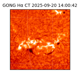 gong - 2025-09-20T14:00:42