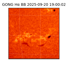 gong - 2025-09-20T19:00:02