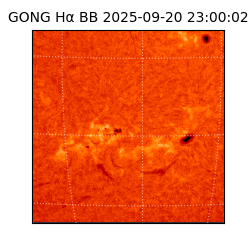 gong - 2025-09-20T23:00:02