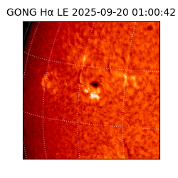 gong - 2025-09-20T01:00:42