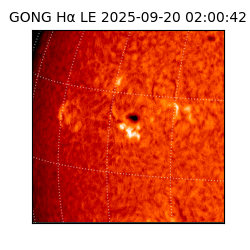 gong - 2025-09-20T02:00:42