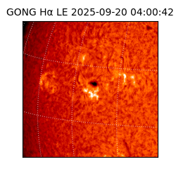gong - 2025-09-20T04:00:42