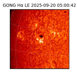 gong - 2025-09-20T05:00:42