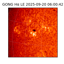 gong - 2025-09-20T06:00:42