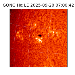 gong - 2025-09-20T07:00:42