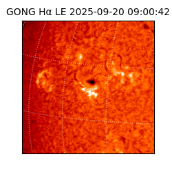 gong - 2025-09-20T09:00:42