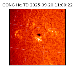 gong - 2025-09-20T11:00:22