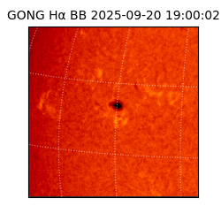 gong - 2025-09-20T19:00:02