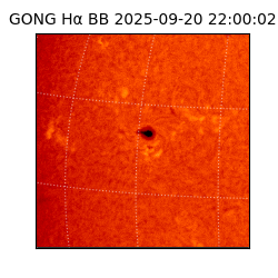 gong - 2025-09-20T22:00:02