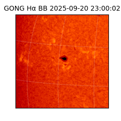 gong - 2025-09-20T23:00:02