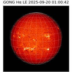 gong - 2025-09-20T01:00:42