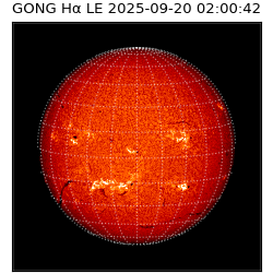 gong - 2025-09-20T02:00:42