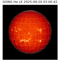 gong - 2025-09-20T03:00:42