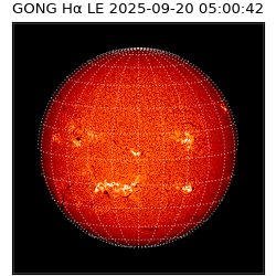 gong - 2025-09-20T05:00:42