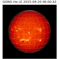 gong - 2025-09-20T06:00:42