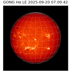 gong - 2025-09-20T07:00:42
