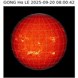 gong - 2025-09-20T08:00:42