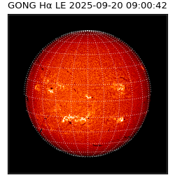 gong - 2025-09-20T09:00:42
