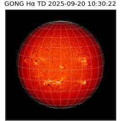 gong - 2025-09-20T10:30:22