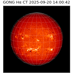 gong - 2025-09-20T14:00:42