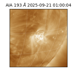 saia - 2025-09-21T01:00:04.843000