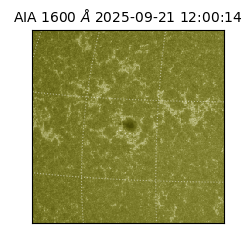 saia - 2025-09-21T12:00:14.125000