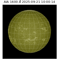 saia - 2025-09-21T10:00:14.126000