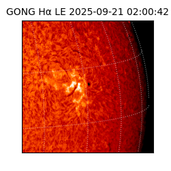 gong - 2025-09-21T02:00:42