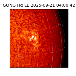 gong - 2025-09-21T04:00:42