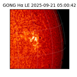 gong - 2025-09-21T05:00:42