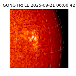 gong - 2025-09-21T06:00:42