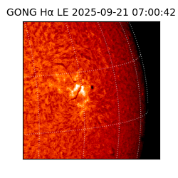 gong - 2025-09-21T07:00:42