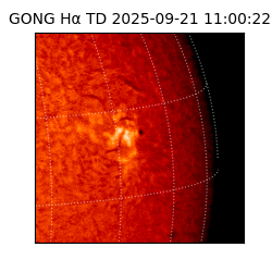 gong - 2025-09-21T11:00:22
