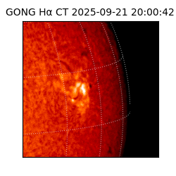gong - 2025-09-21T20:00:42