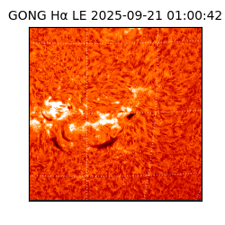 gong - 2025-09-21T01:00:42