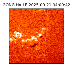 gong - 2025-09-21T04:00:42