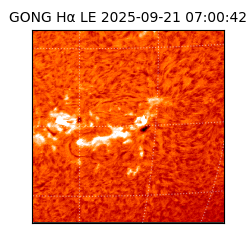 gong - 2025-09-21T07:00:42