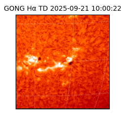 gong - 2025-09-21T10:00:22