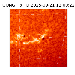 gong - 2025-09-21T12:00:22