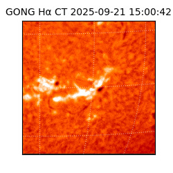 gong - 2025-09-21T15:00:42